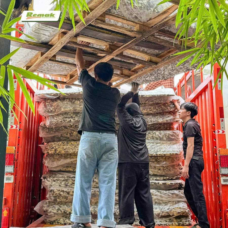 5000 tấm mút ép tái sinh được Remak cấp về nhà máy sản xuất ô tô lớn nhất tại Việt Nam